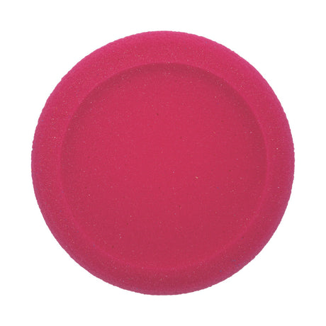 Champion Sports ROUNDED EDGE UNCOATED FOAM DISC SET