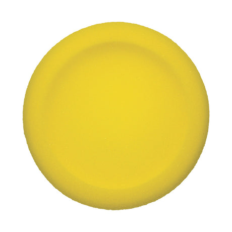 Champion Sports ROUNDED EDGE UNCOATED FOAM DISC SET