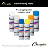 FIELD MARKING PAINT BRITE WHITE