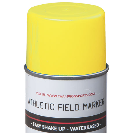 Champion Sports FMP1BW Field Marking Paint Brite White