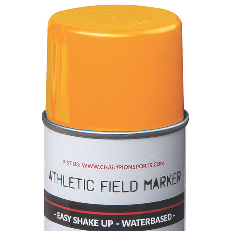Champion Sports FMP1BW Field Marking Paint Brite White