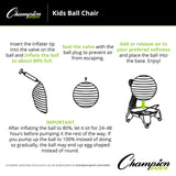 Champion Sports BALL CHAIR ADULT