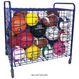 FULL-SIZE LOCKABLE BALL LOCKER