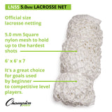 Champion Sports LACROSSE NET PAIR 8 MM KNOTLESS