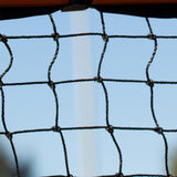 Champion Sports BACKYARD LACROSSE GOAL AND NET 6' X 6' OFFICIAL SIZE