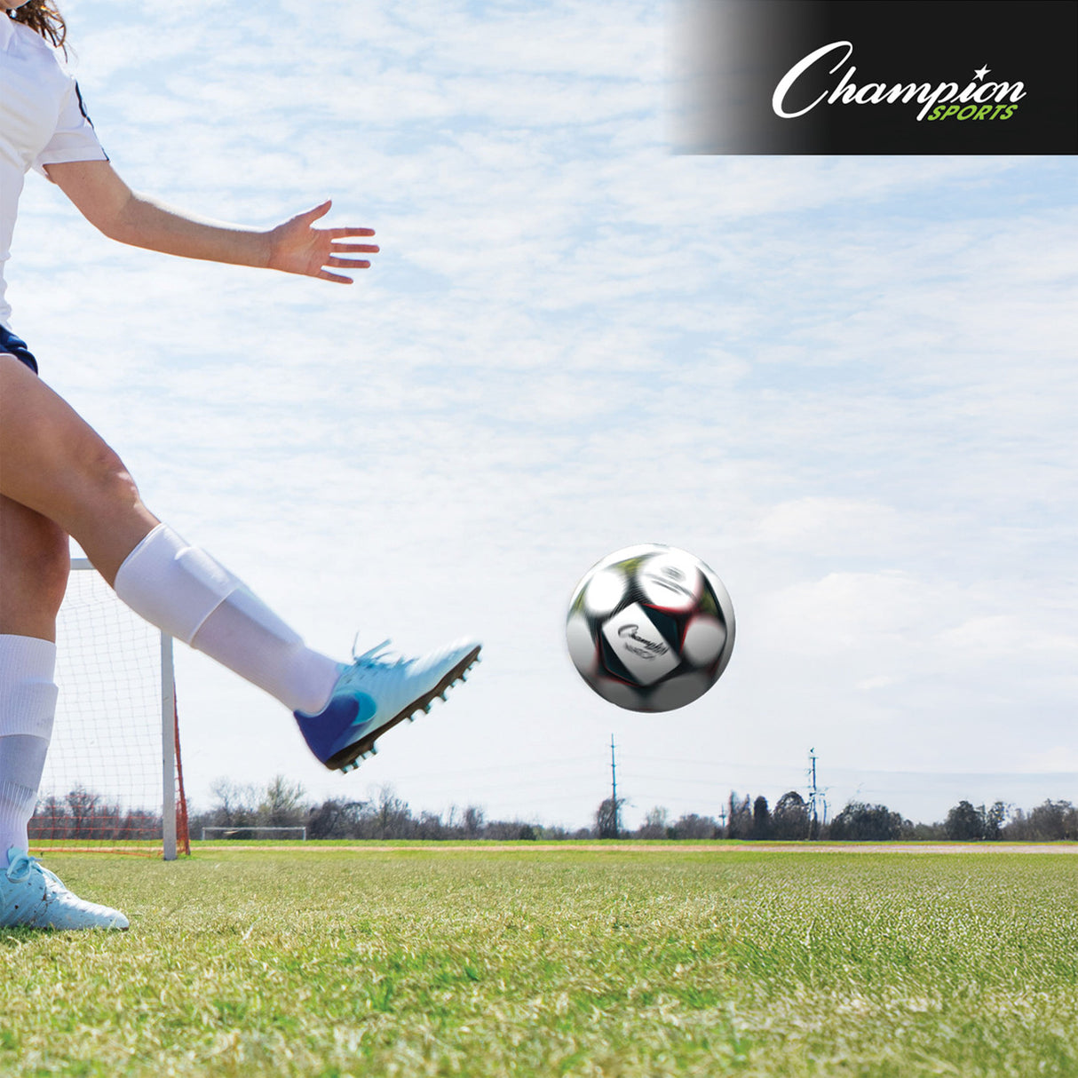 Champion Sports THERMAL BONDED SOCCERBALL, SIZE 5