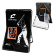 Champro Virtual Catcher/Rebound Screen | Champro NM25 Champro Standard Standard