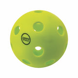 RHINO Pickleball INJECTION MOLDED INDOOR PICKLEBALL SET