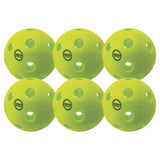 RHINO Pickleball INJECTION MOLDED INDOOR PICKLEBALL SET