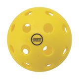 RHINO Pickleball INJECTION MOLDED OUTDOOR PICKLEBALL SET