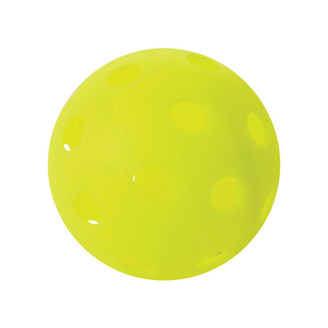 RHINO Pickleball RECREATIONAL INDOOR PICKLEBALL SET