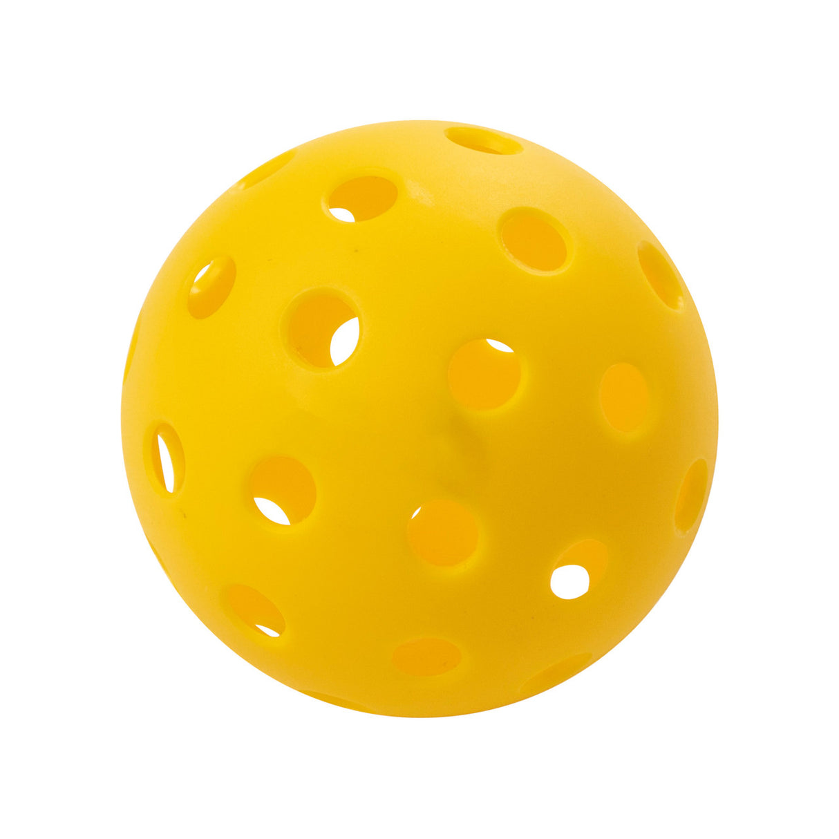 RHINO Pickleball RECREATIONAL OUTDOOR PICKLEBALL SET