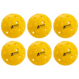 RHINO Pickleball RECREATIONAL OUTDOOR PICKLEBALL SET