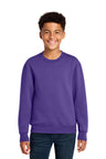 Port & Company PC78Y Youth Core Fleece Crewneck Sweatshirt | Port & Co PC78Y