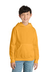Port & Co ™  Youth Core Fleece Pullover Hooded Sweatshirt.  PC90YH - Port & Company PC90YH