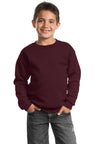 Port & Co ™  Youth Core Fleece Crewneck Sweatshirt.  PC90Y - Port & Company PC90Y
