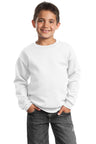Port & Co ™  Youth Core Fleece Crewneck Sweatshirt.  PC90Y - Port & Company PC90Y