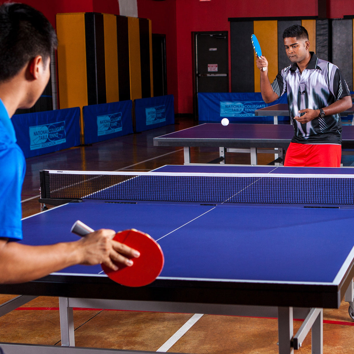 Champion Sports 5 PLY RUBBER TABLE TENNIS PADDLE