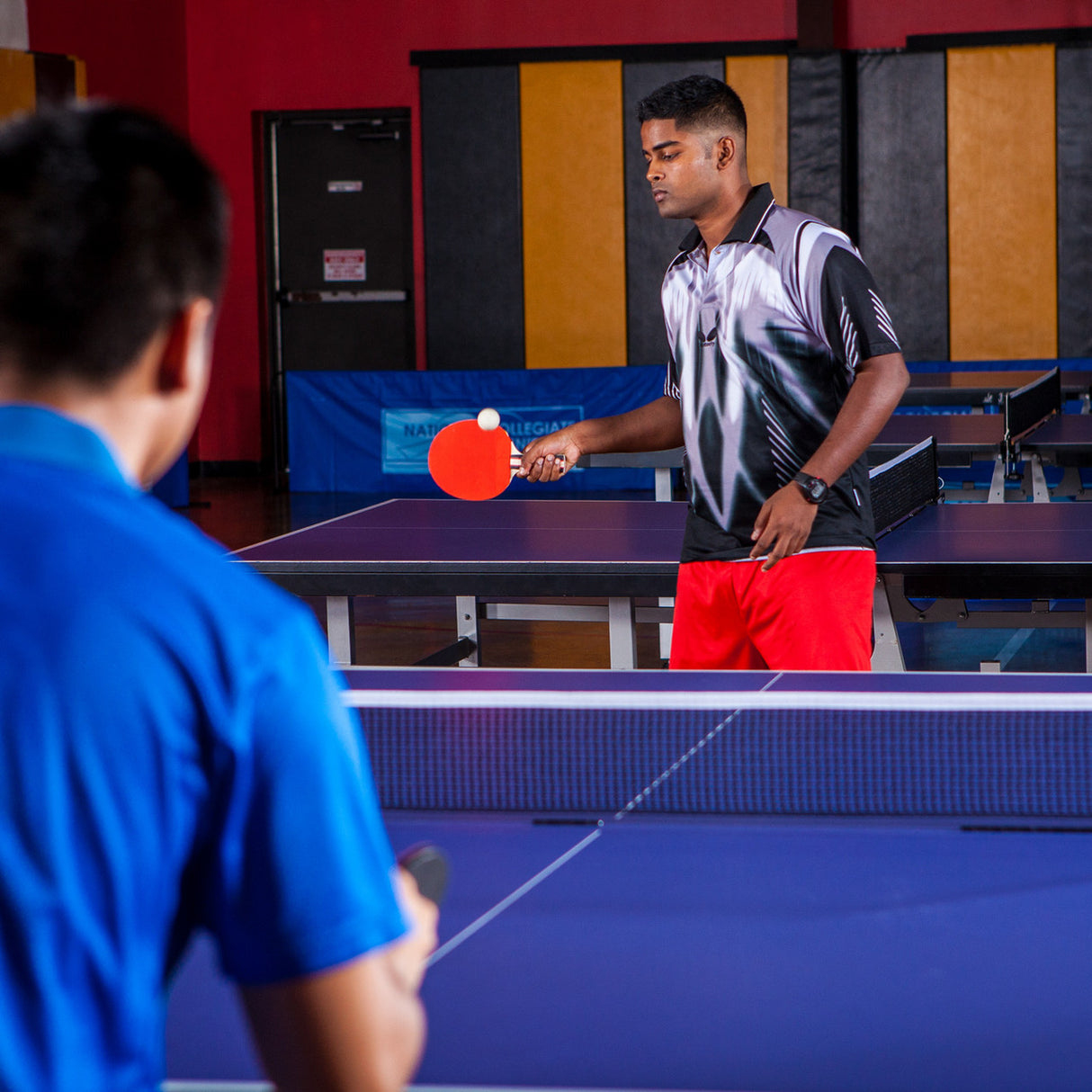 Champion Sports 7-PLY PIPS OUT RUBBER FACE TABLE TENNIS PADDLE 2-4-7
