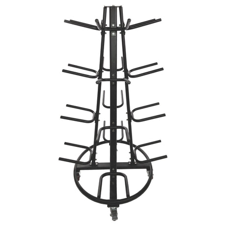 Champion Sports ROUND MEDICINE BALL TREE