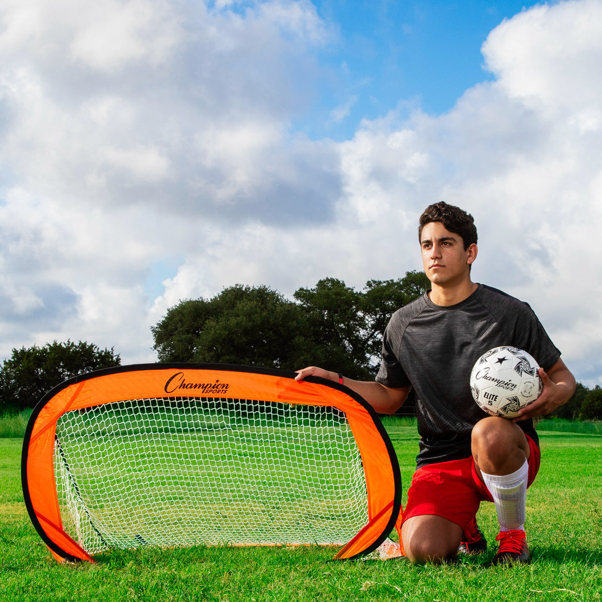 Champion Sports POP-UP SOCCER GOAL, 4' X 2'