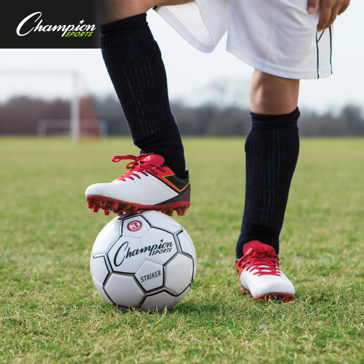 Champion Sports STRIKER SOCCER BALL SIZE 3