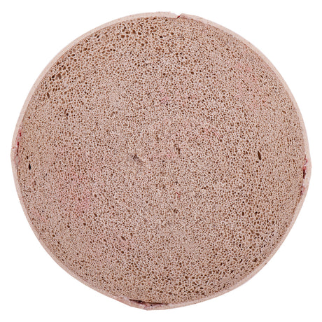 Champion Sports INDOOR/OUTDOOR TEE BALLS