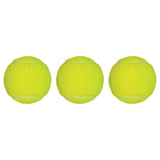 Champion Sports TENNIS BALLS, PACK OF 3