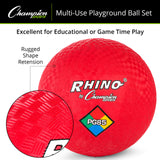 Champion Sports MIXED PLAYGROUND BALLS SET