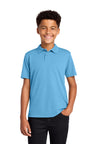 Port Authority Y110 Youth Dry Zone UV Micro-Mesh Polo Wholesale