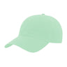 JOE102 Papa Joe Dad Hat - Mint