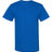 American Apparel Unisex Heavyweight Cotton Tee - American Apparel 1301 Royal Blue S