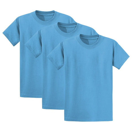 Joe's USA Mens 3-Pack of 100% Heavyweight Cotton T-Shirts Multi-Packs Big & Tall Sizes - Aquatic Blue Joe's USA Aquatic Blue Small
