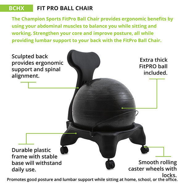 Champion Sports BALL CHAIR ADULT