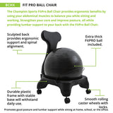 Champion Sports BALL CHAIR ADULT