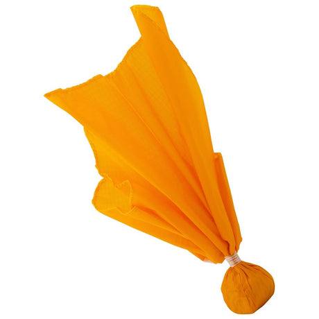 Champro Ball Flag with Gold Ball | Champro AF10 Standard Standard American Football Training Equipment