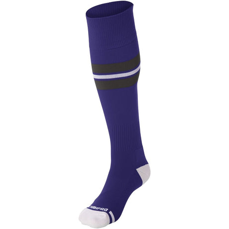 Champro Striped Baseball Sock | Champro AS3 PURPLEGRAPHITEWHITE XS Athletic Socks