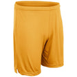 Champro VICTORIOUS Basketball Short | Champro BBS33 GOLD S Basketball