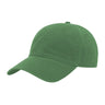 JOE102 Papa Joe Dad Hat - Green