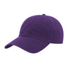 JOE102 Papa Joe Dad Hat - Purple