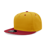Decky 5 PanelHigh Profile | Decky 6029 Gold/Cardinal Standard