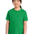Gildan ® Youth Softstyle ® Midweight Tee 65000B - Gildan 65000B Irish Green XS Short Sleeve T-Shirts