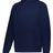 Holloway CITY SERIES HOODIE - Holloway 223568 NAVY S