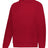 Holloway CITY SERIES HOODIE - Holloway 223568 SCARLET S