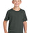 Jerzees Classics ™ Youth Cotton T-Shirt 363Y - Jerzees 363Y Charcoal Grey XS T-Shirts