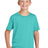 Jerzees Classics ™ Youth Cotton T-Shirt 363Y - Jerzees 363Y Scuba Blue XS T-Shirts