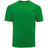 DRIEQUIP Men's Athletic All Sport Training Tee Shirts-KellyGreen Activewear DRI-EQUIP Kelly Green X-Small