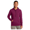 Ladies Pullover Hooded Sweatshirt X - Small Pink Rush Sweatshirts