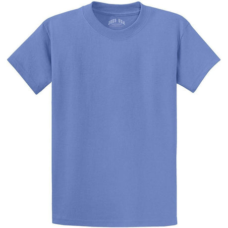 Men's Durable 100% Heavyweight Cotton T-Shirts in Regular, Big, and Tall Sizes Carolina Blue Small Short Sleeve T-Shirts