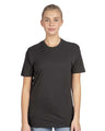 Next Level Cotton T-Shirt - Next Level 3600 Graphite Black XS Short Sleeve T-Shirts